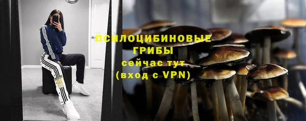 альфа пвп Богородицк